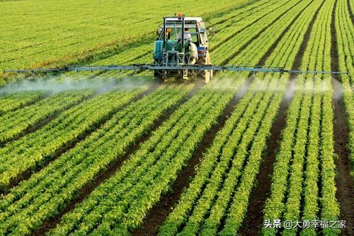 头条问答 世界上的农业大国和农业强国分别是谁 3个回答
