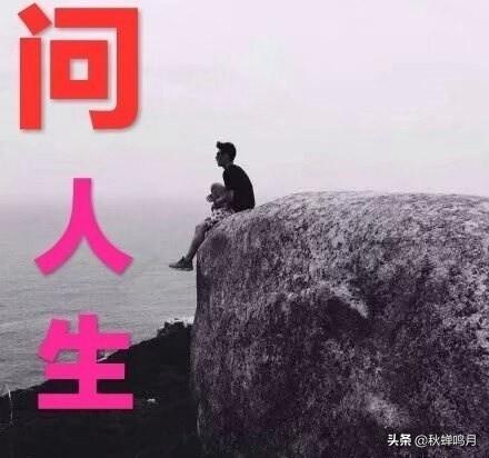 我和我的宠物店的男人们:10家宠物店有9家在赔钱，为什么还会有那么多人开宠物店？