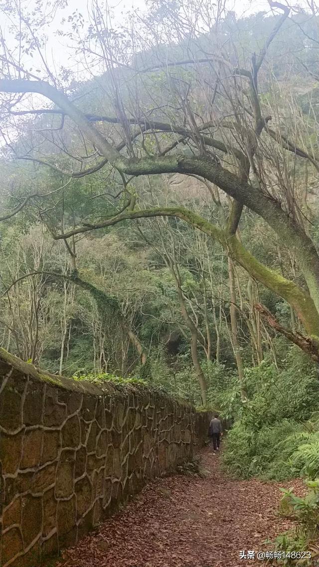 《都挺好》里,如果苏大强的人设不变,三个儿女的职业换成辛苦打拼的底层劳动者,会怎样？