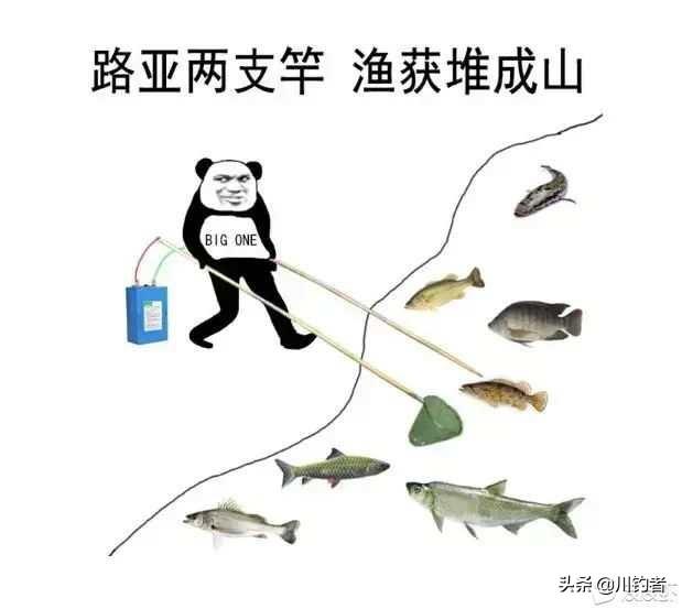 为什么钓鱼人都痛恨电鱼人