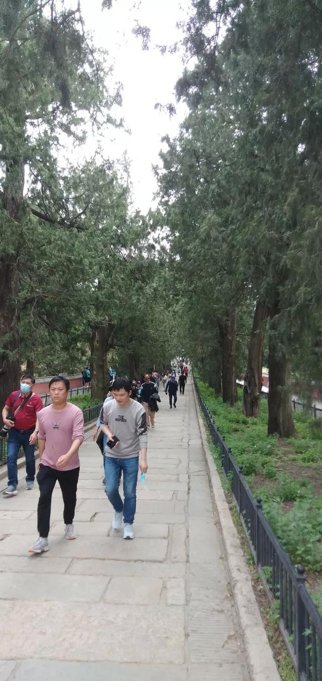 余秀华的《穿过大半个中国去睡你》能流传千古吗？