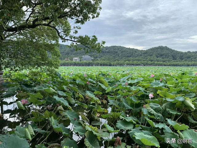 浙江省有哪些AAAAA级名胜风景区？