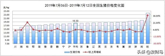 现在养猪有前途吗？