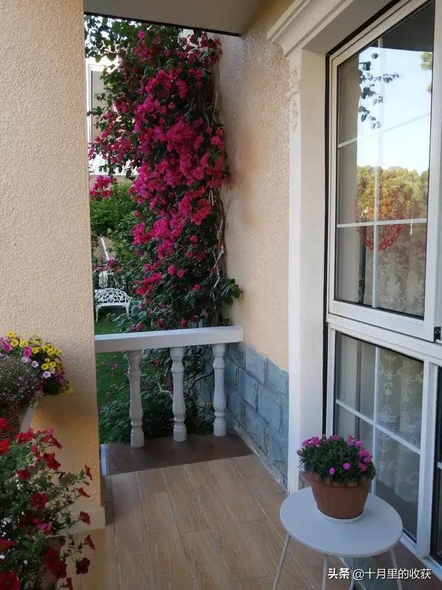 家住别墅是什么样的感觉？插图42