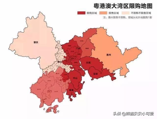 大湾区是什么意思:过去的一年用几个关键词来描述大湾区楼市，分别是什么？