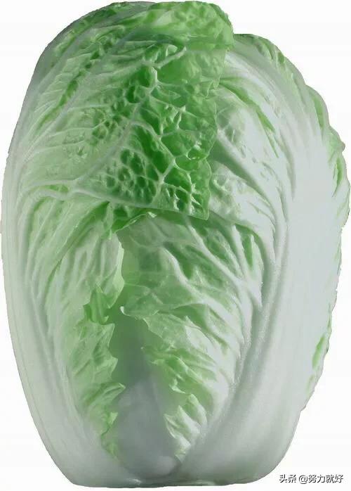 悟空问答 萝卜白菜上的菜青虫猖獗 又不想打农药 有什么土办法能防治菜青虫 乡村关中的回答 0赞