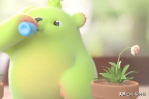 熊童子服盆:熊童子服盆期怎么浇水 多肉植物熊童子的养殖方法和注意事项？