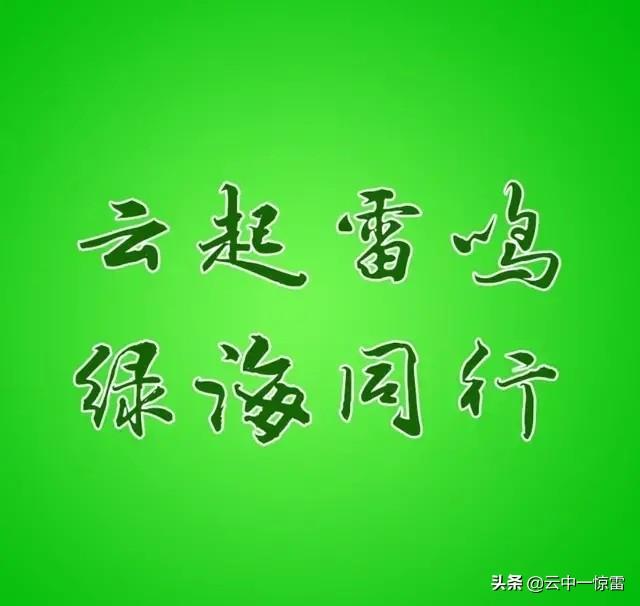 你的爱豆是谁？他的应援口号是什么？