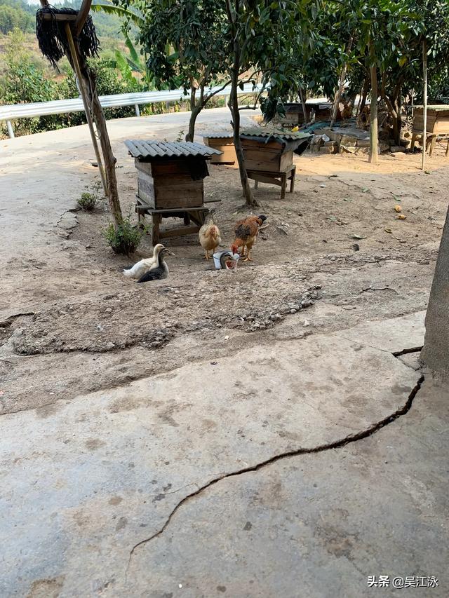 做设计培训,在哪个平台可以教学？