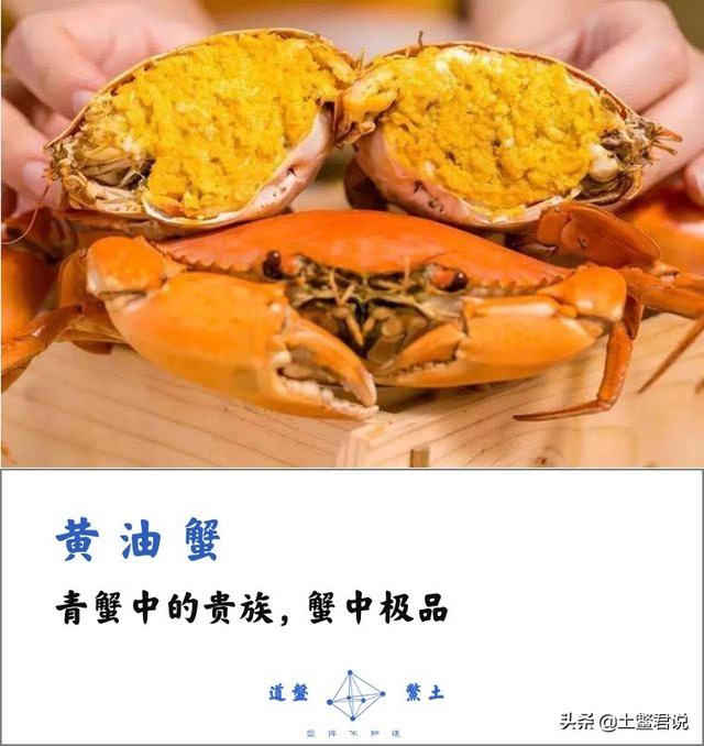 龙趸王:中国四个海哪个海里的海鲜好吃，为什么