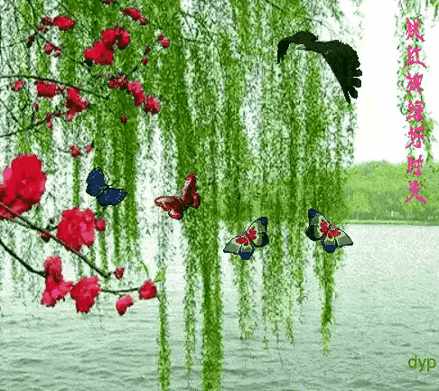 486_433gif 动态图 动图