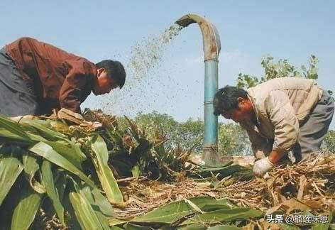 致富创业排行榜，想问一下，有什么小本创业项目比较赚钱，还可以养家糊口吗