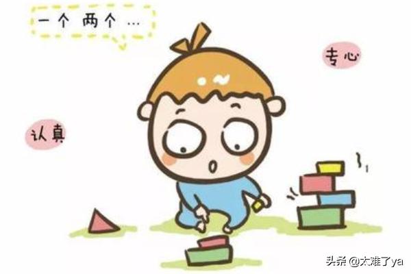 专注力训练:怎样让狗狗训练提高注意力？