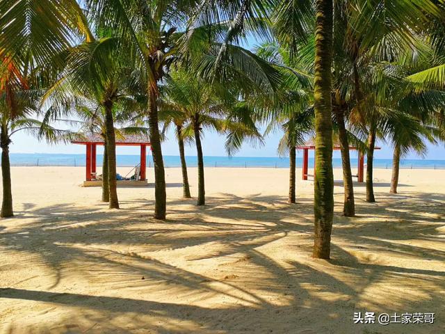 你能说出你最喜欢旅游的一个地方,为什么？