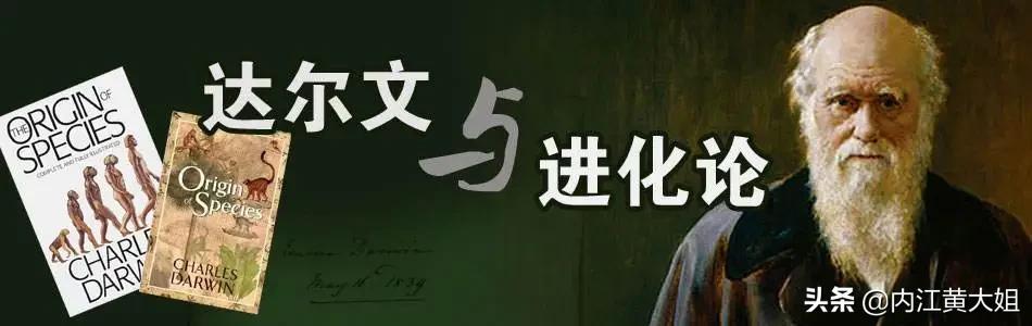 长银斧鱼图片:社会达尔文主义是错的吗？为什么？