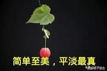 如何看待玉林一女护士碎尸男医生，一条“护士将医生杀害”的消息在朋友圈热传，且作案手段残忍令人发指？