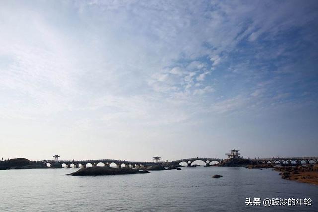 宠物旅行最佳搭配:带狗狗出游需要注意什么呢？