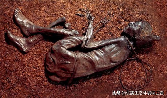 欧洲沼泽里挖掘出多具千年古尸，不腐不化，这能用科学解释吗