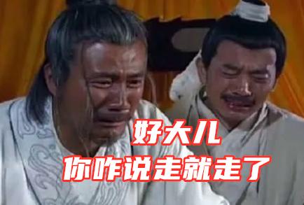 优爵狗粮项目介绍:朱棣文武双全能力出众，朱元璋为什么不让他做太子？