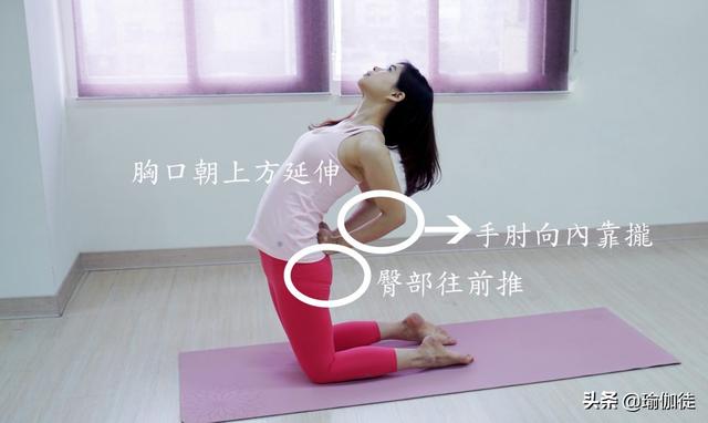瑜伽狗:瑜伽中的骆驼式头部往后仰会不会使脸部变形？ 瑜伽狗式动作图片