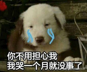 可爱萌宠图片:图片可爱萌萌哒头像 大家有没有什么萌宠表情包？越沙雕越可爱越好？
