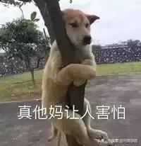睡觉时有没有被恶梦惊醒的时候,是什么梦呀？