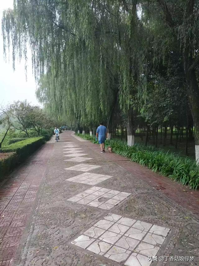 四川大姐收留汶川地震后的狗狗:恨狗人士扔异烟肼毒狗，爱狗人士怎么看？