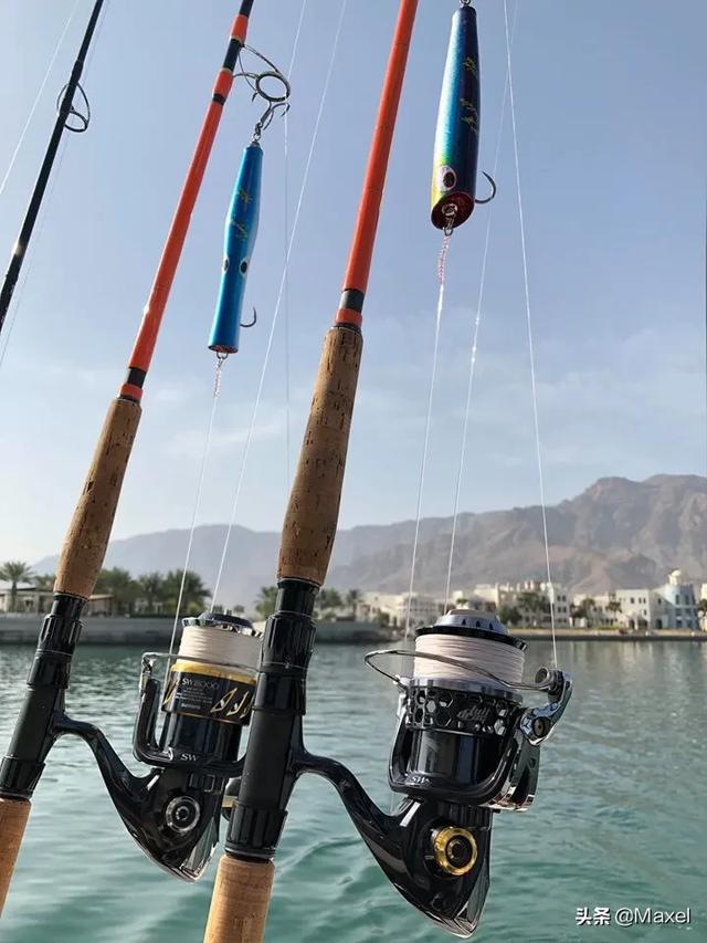 深海巨腹鱼在哪钓:海钓时，怎么样才能钓到大鱼？