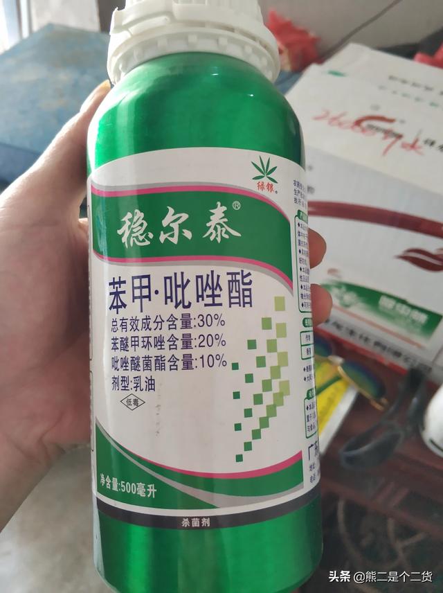 沙皮:怎样清除掉柑桔果上已产生的砂皮？