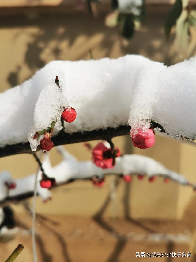 家住别墅是什么样的感觉？插图46