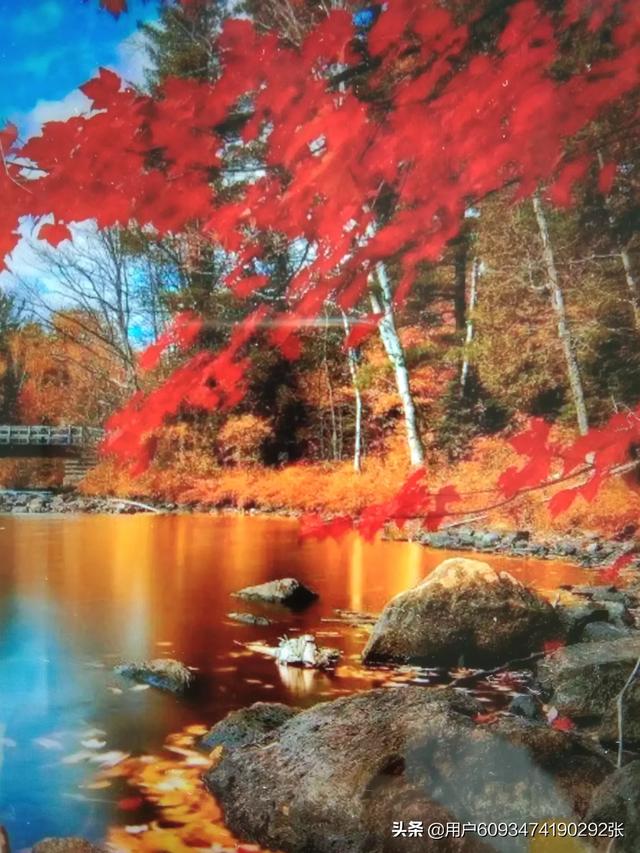 霜降到立冬的养生该如何做？