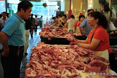 2020年鸟啦网最新批发商:养鸡可以销售到哪里去，养鸡怕没有销路怎么办呢？
