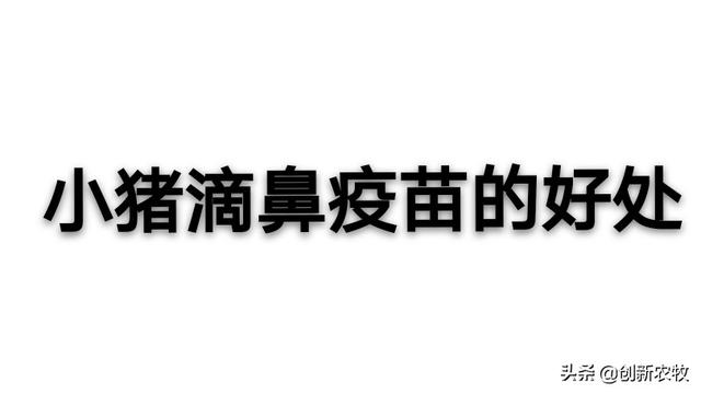 预防性狂犬病疫苗副作用:为什么男孩被狗咬伤后，打了三针狂犬疫苗后还会发病身亡？