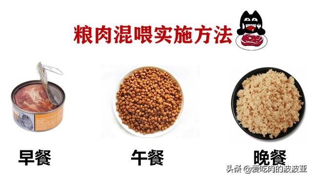 雪诗雅幼猫罐头怎么样:作为新手铲屎官没有养猫经验，大家可以推荐一些猫粮猫罐头吗？
