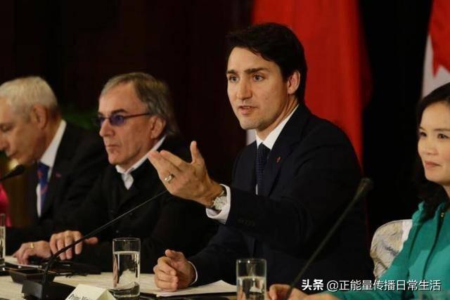 加拿大宠物吧:加拿大、澳大利亚、乌克兰算是国际上的政治三猪吗？ 加拿大宠物市场
