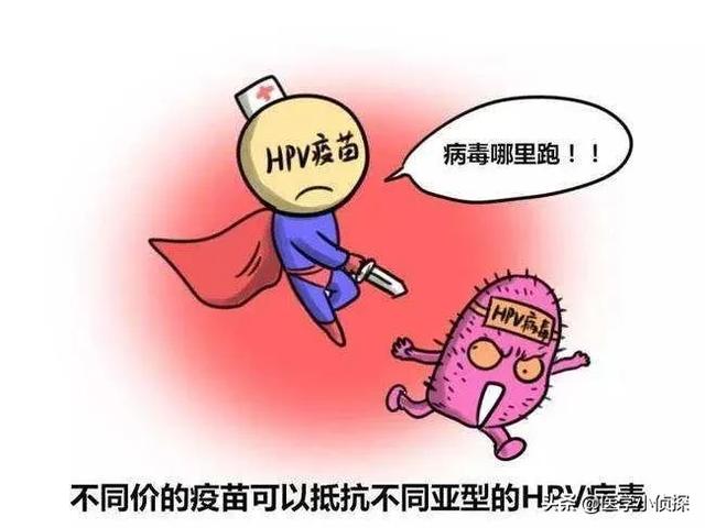 疣状表皮发育不良:女子打过hpv疫苗，6年后却查出宫颈癌，疫苗不管用吗，为何？