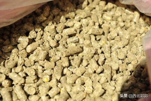 狗食配方价格:养羊做颗粒料用草多少做成全价料？