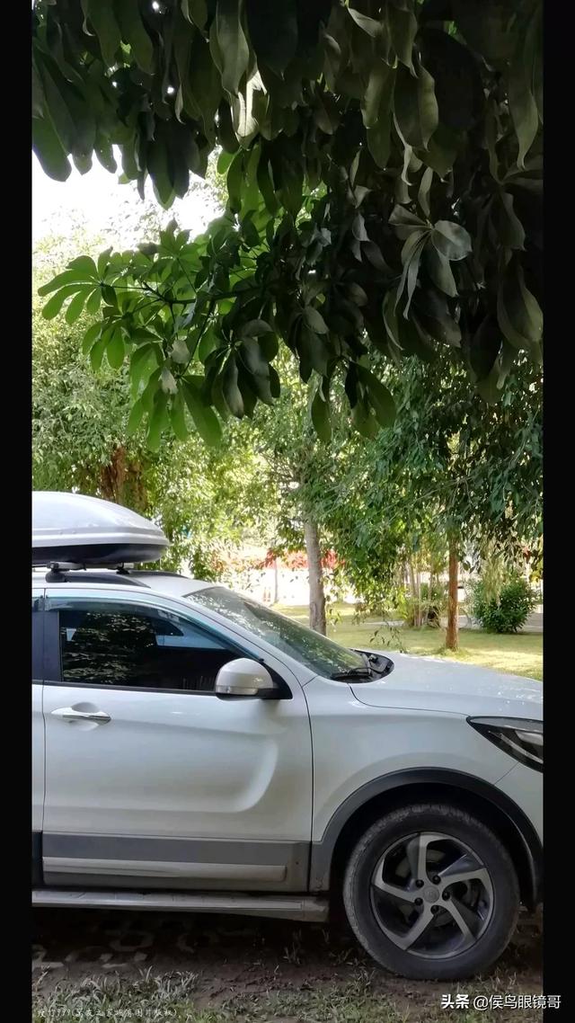 儿童鸵鸟图片:关注青少年心理健康，“鸵鸟少年”如何走出网络虚幻世界？ 鸵鸟儿童画画图片