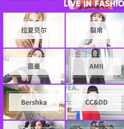猫咪猎手vr手机游戏:为什么有的猫咪明知道你是在用逗猫玩具逗它，它还是那么配合？