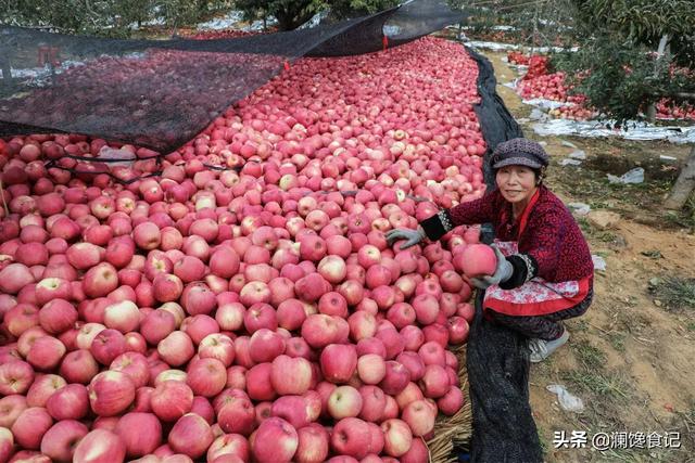 鳄梨价格:为什么会有人不喜欢吃牛油果？