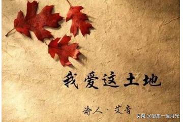 艾青的资料:艾青《我爱这土地》赏析？