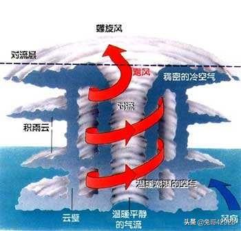 关于台风说法哪些是误区，特朗普所说的，使用核弹来阻止飓风登陆的做法真的可行吗