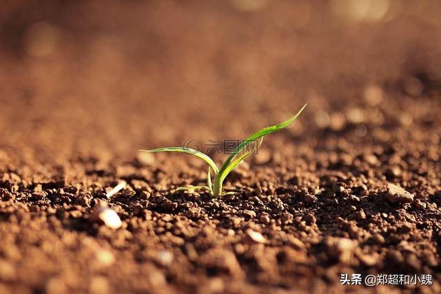 怎么长期保存土壤 头条问答