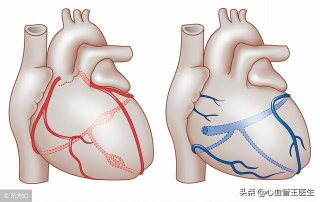 凯安梗碑气不好:为什么人们很少拿糯米当主食？ 凯安梗资料介绍