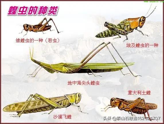 张劲夫逝世:如何评价科学家张首晟的英年早逝？
