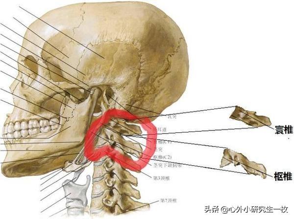 头条问答 - 不管是哪种原因引起的,转头后脑勺有响声能痊愈吗?