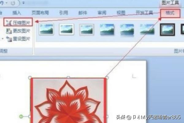 word中不显示图片，WPS、Word中不能插入图片或图片不显示