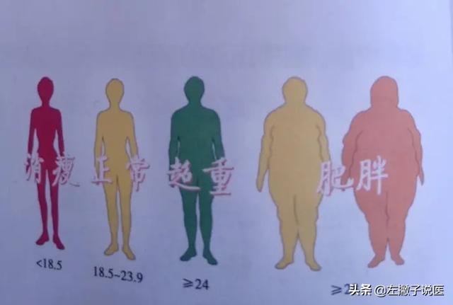 女性bmi多少是正常的，注意什么？插图6