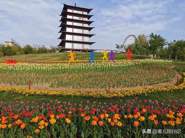 退休旅游群:58岁退休女士，想出去旅游却很难约到合适的伴，怎么办？