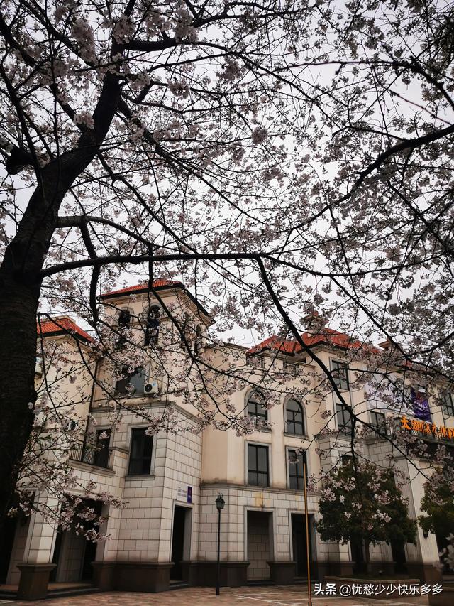 家住别墅是什么样的感觉？插图45